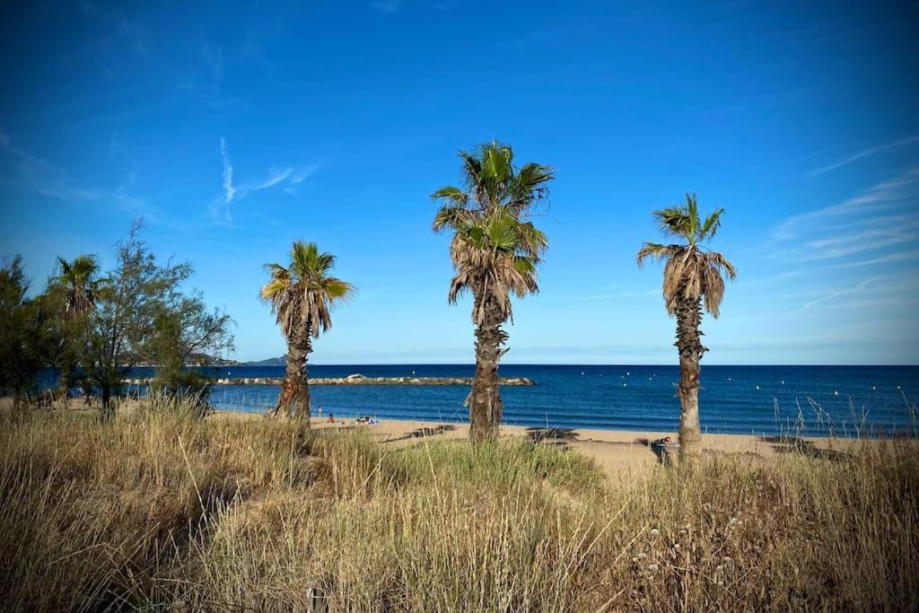 Port-Frejus, Le Paladien, Appartement 2 Pieces Climatise, Terrasse & Parking Dış mekan fotoğraf